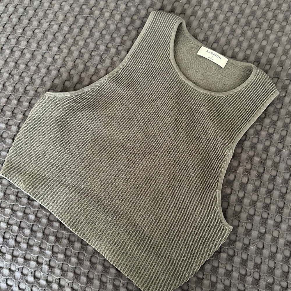 Aritiza | Babaton Sculpt Knit High Neck Top